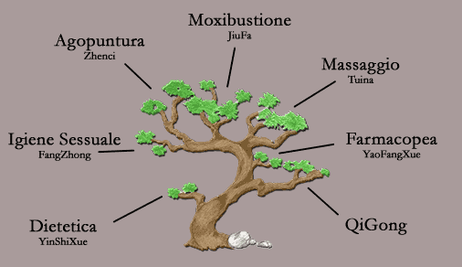 Raffigurazione dell'albero dai sette rami tradizionale