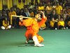festa31050850