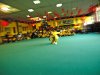 festa31050854