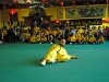 festa31050855